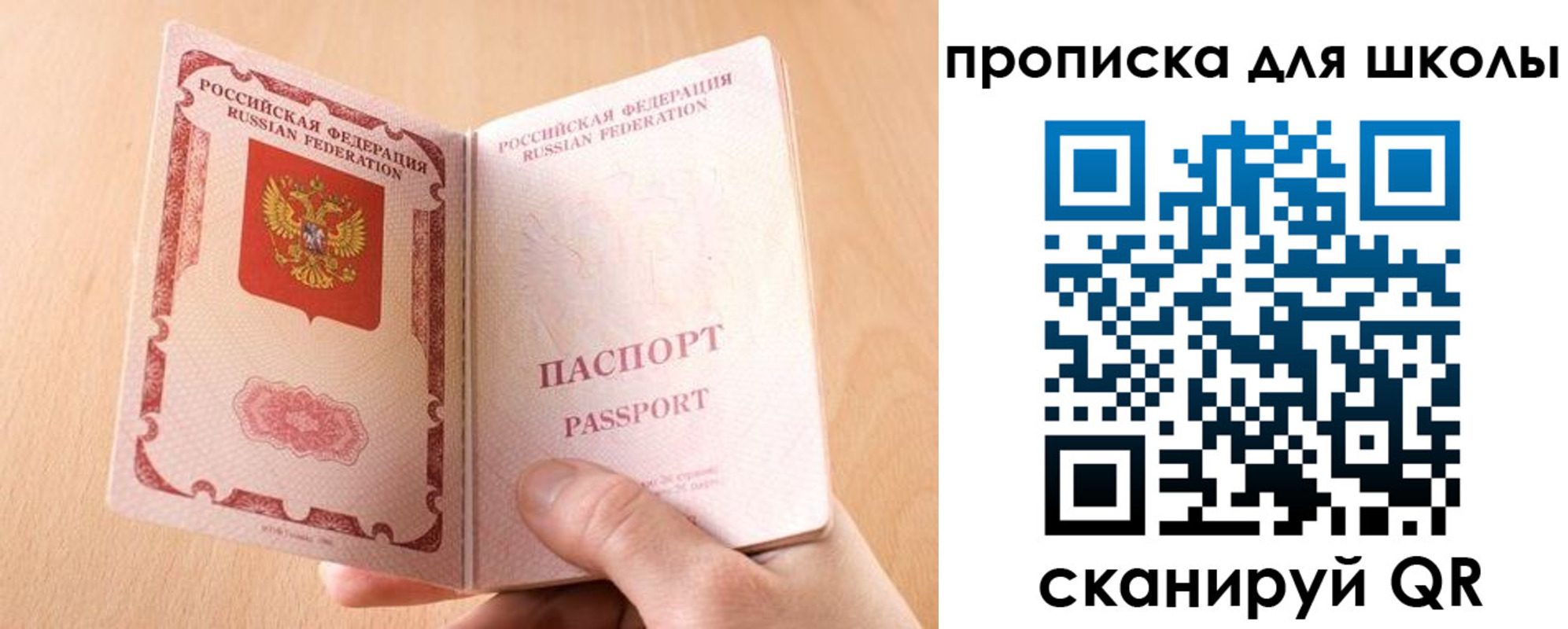 прописка в Ясном